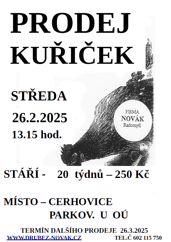 Prodej kuřiček